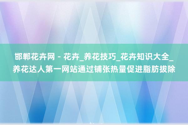邯郸花卉网 - 花卉_养花技巧_花卉知识大全_养花达人第一网站通过铺张热量促进脂肪拔除